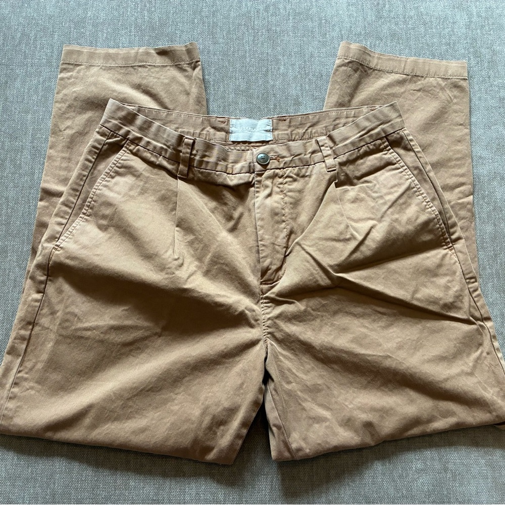 Everlane Pleated  Chinos